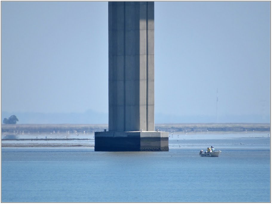 Ponte Vasco da Gama by André Barragon