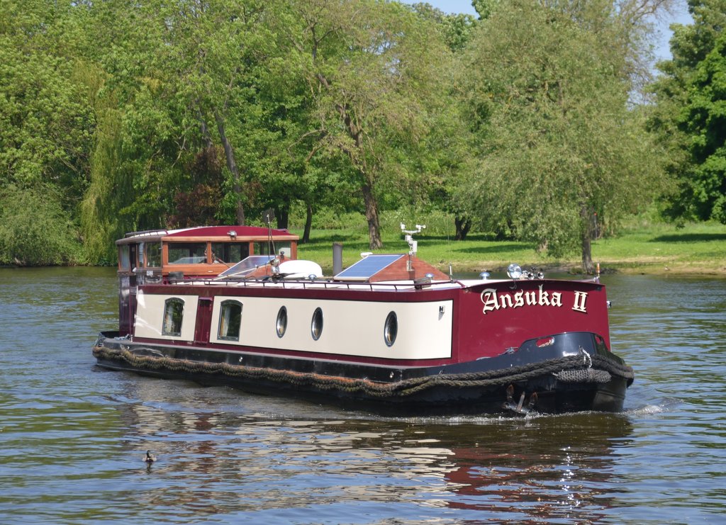 Riverboat on Thames by Mimmo Feminò