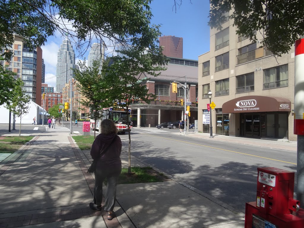 TTC bus 7768 heading east on the Esplanade, between Jarvis and George, 2015 08 03 (1).JPG by OldYorkGuy