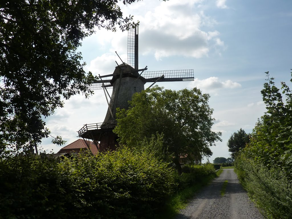 Windmühle 29690 Gilten, Deutschland by Klaus Heyna