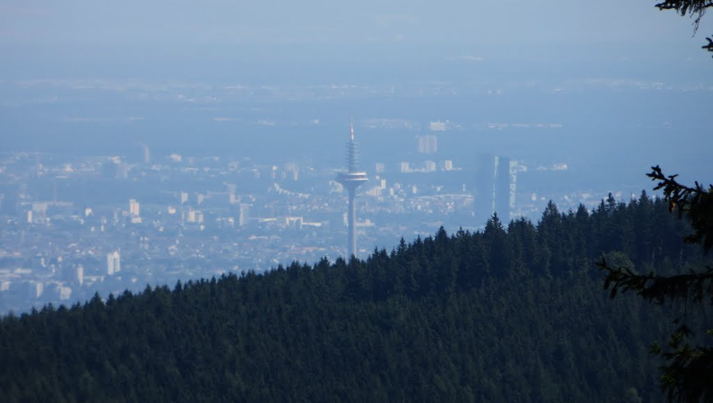 Blick über den Altkönig hinweg auf Frankfurt by Frank Frankenstein