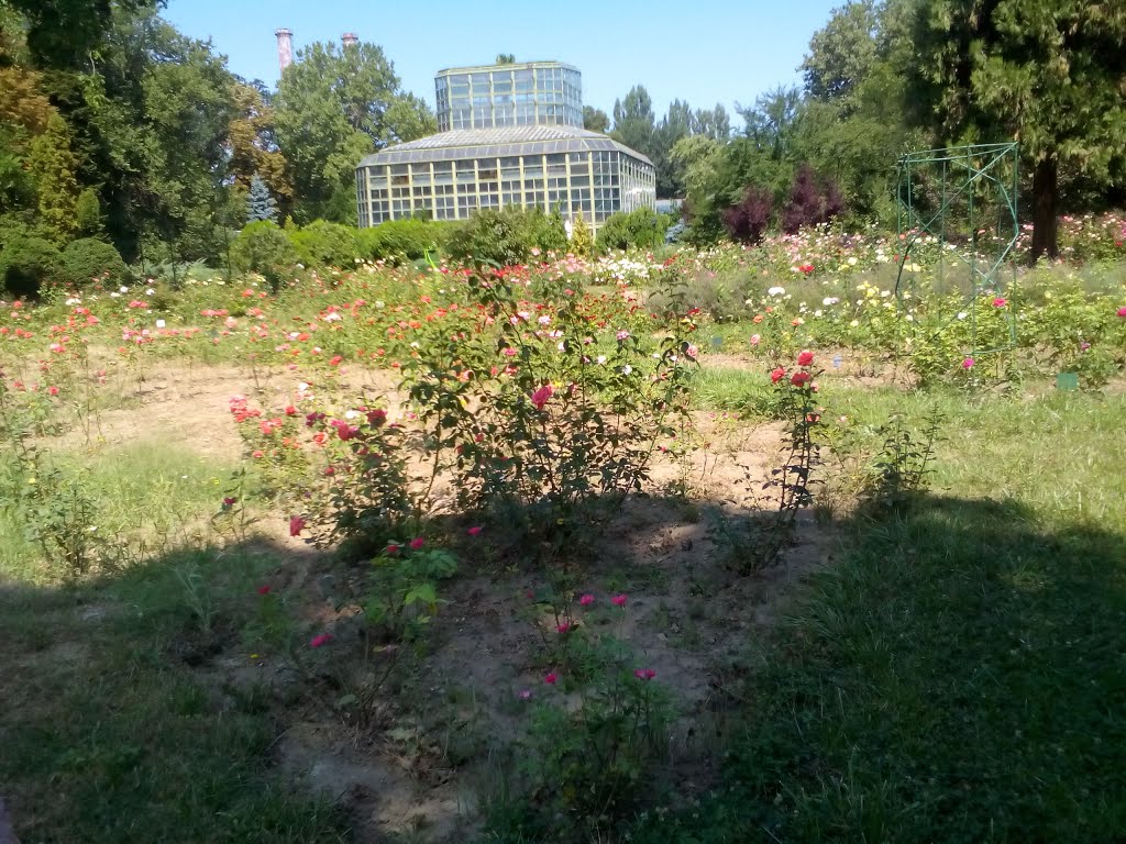 Grădina Botanică București by Gabriel Ghita