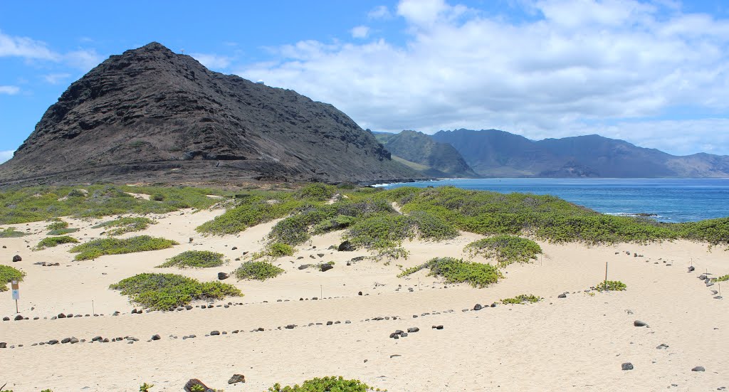 Kaena Point, Oahu, Hawaii by Aaron Zhu