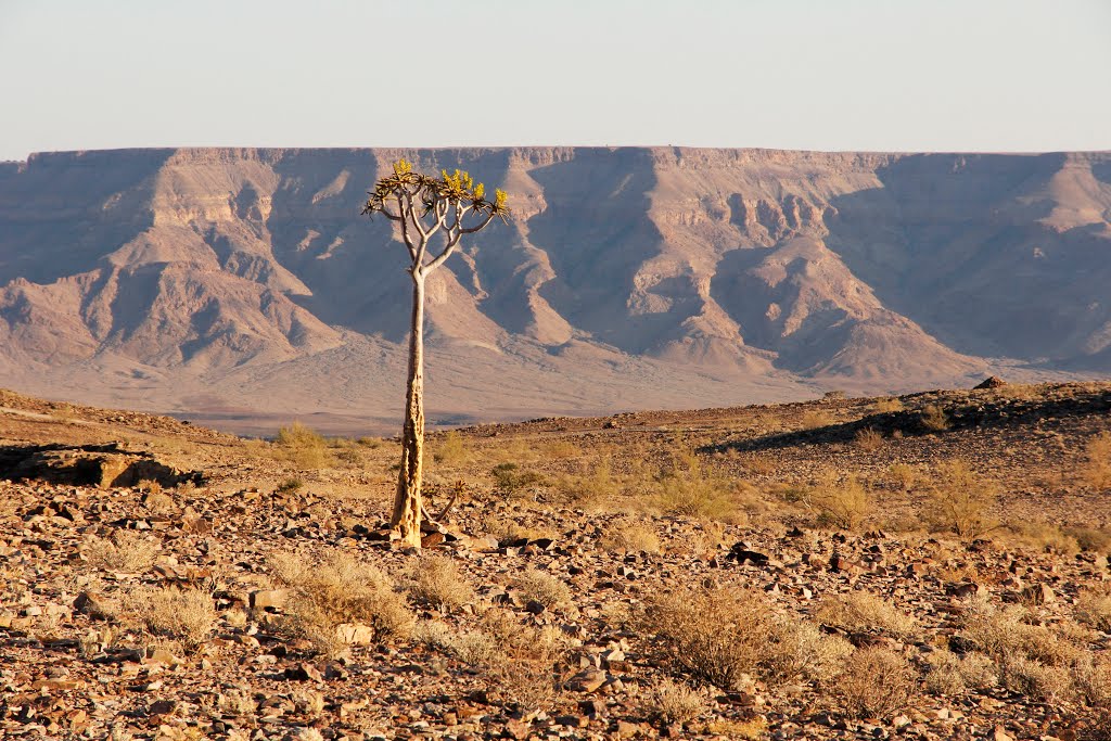 Unnamed Road, Namibia by Dup van Renen