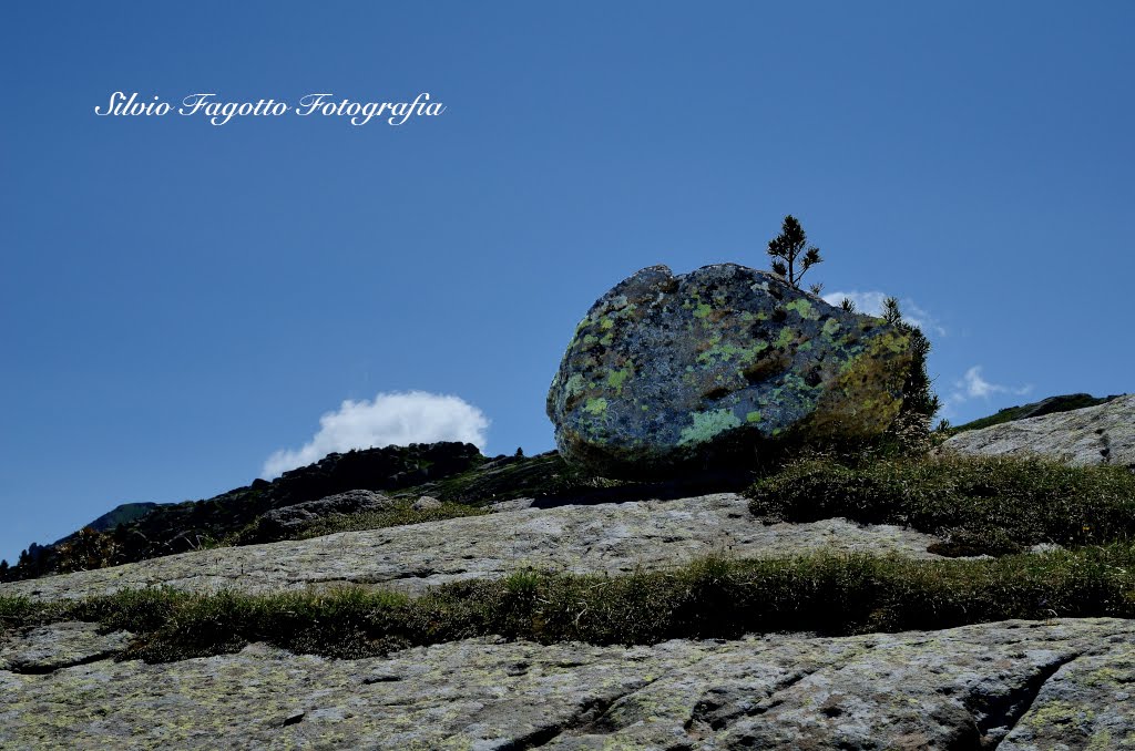 Il sasso by Silvio Fagotto