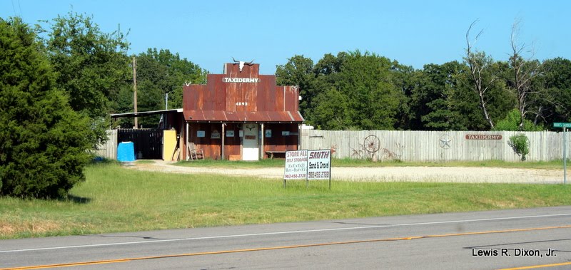 Hood's Taxidermy Shop Hunt County, Tx. by Xonid1