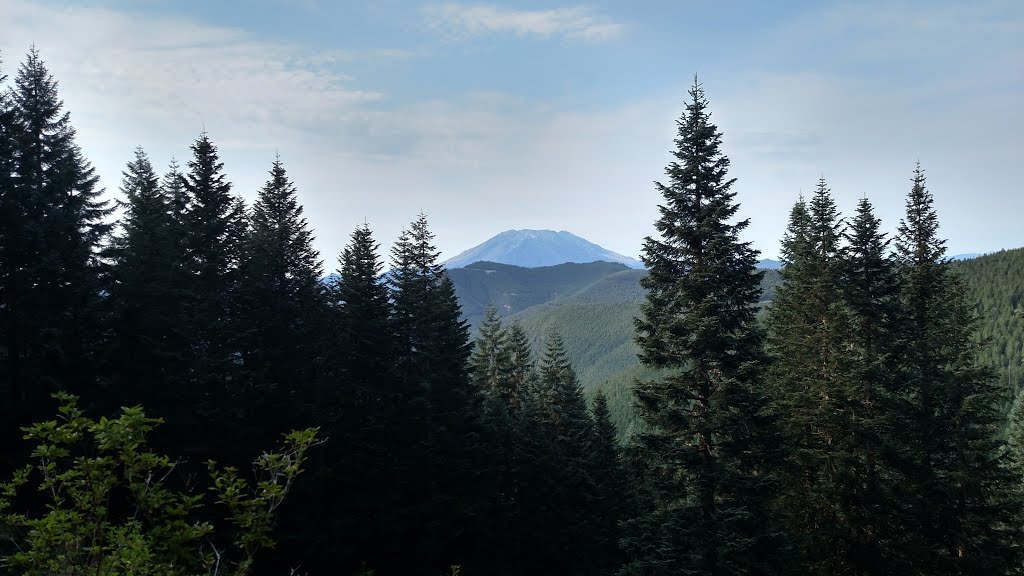 Mount Saint Helens from Huffman Peak Trail by Josef Hoffman