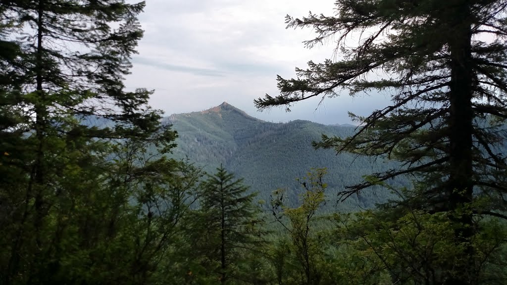 View Looking South from Huffman Peak Trail. by Josef Hoffman