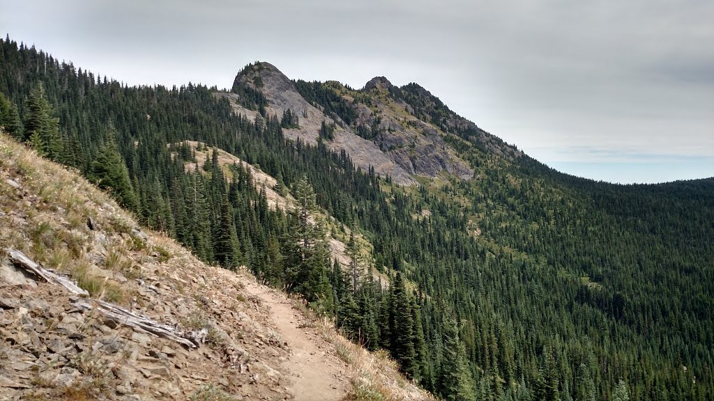 Lewis County, WA, USA by Josef Hoffman