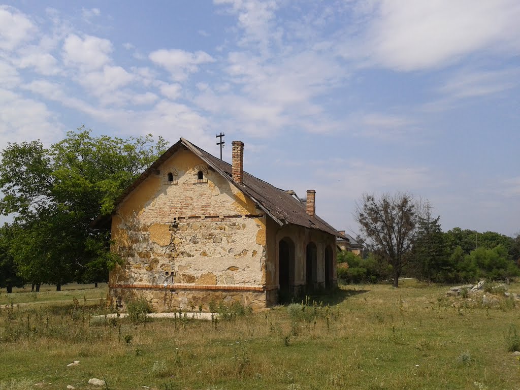 Székesfehérvár, Csala-puszta by Balázs Hornyák