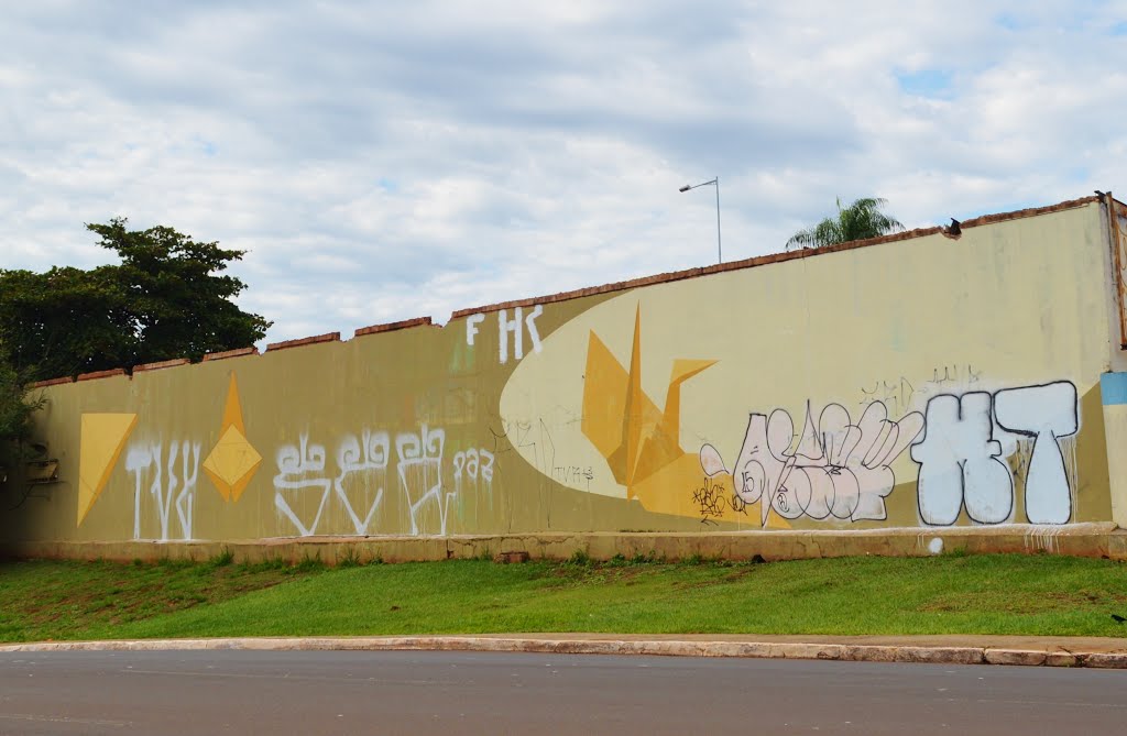 Grafite na Av. Fernando Corrêa da Costa - Campo Grande/MS by carlos henrique da s…