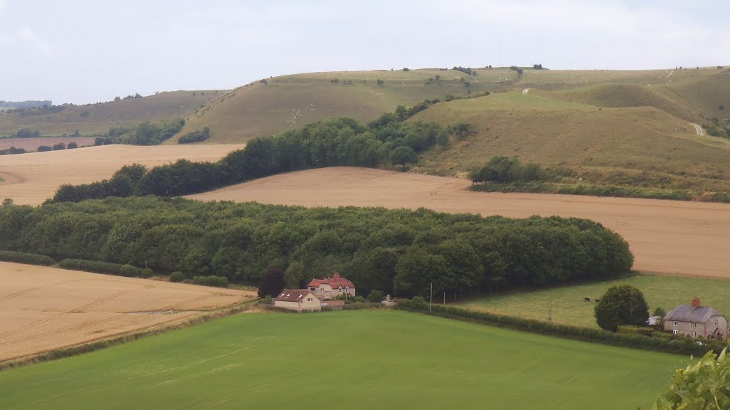 White Sheet Hill Fort from Castle Hill, Mere by Meic W Caerdydd