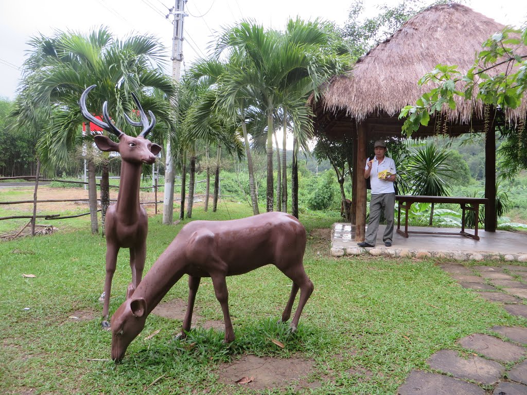 Liên Sang, Khánh Vĩnh, Khánh Hòa, Vietnam by Dần Lê