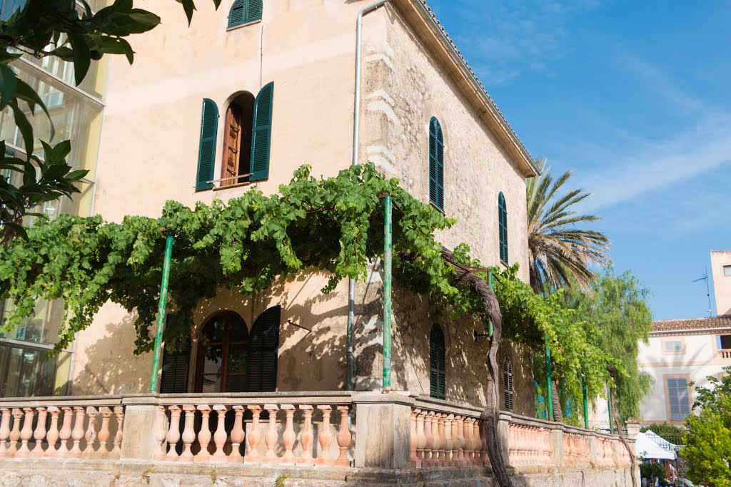 Mallorca_Dienstags-Markt in Arta_07_2015_R&M by mrsiko