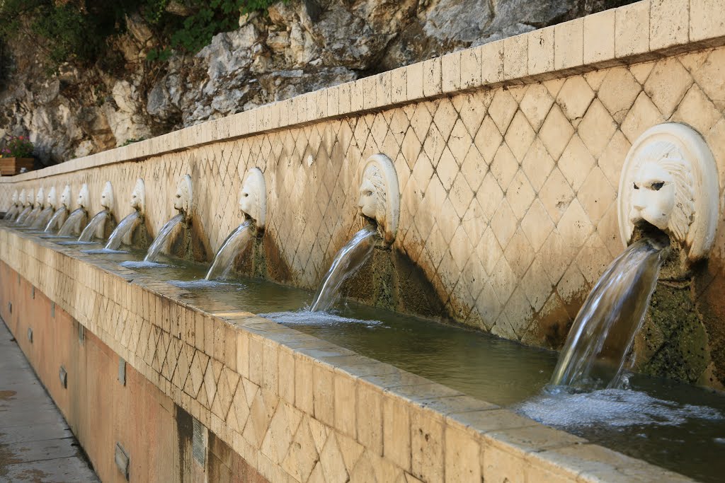 Venetian Lion Head Fountain by Belkin S.