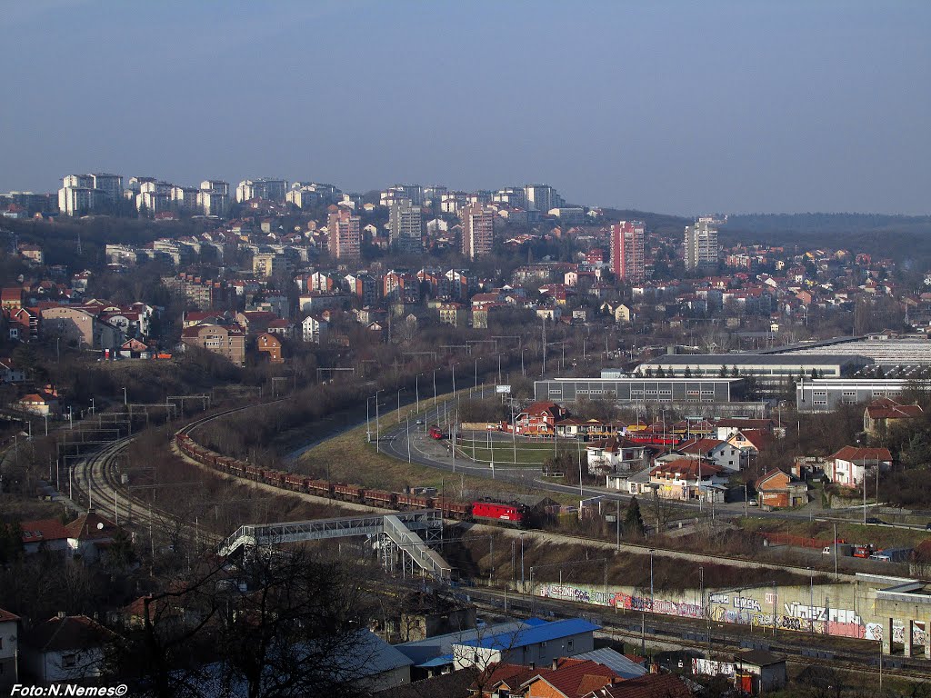 Vozovi kroz Beograd by Nemes Nikola