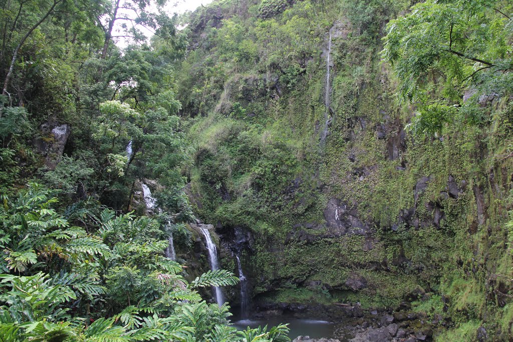 Waikani-falls-2015b.jpg by James Popple