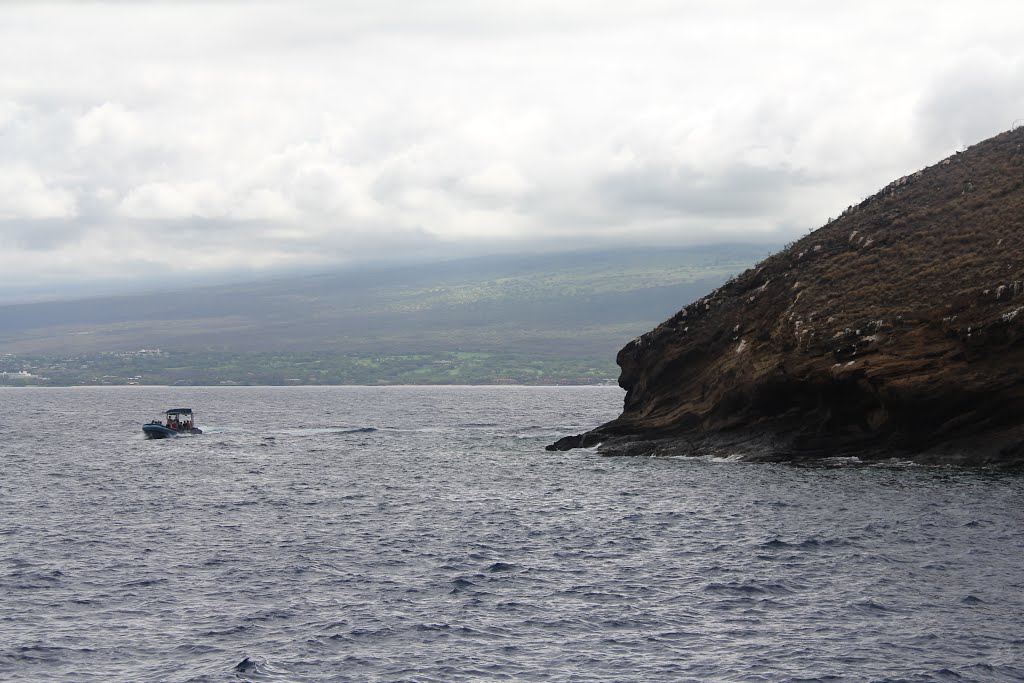 Molokini-2015d.jpg by James Popple