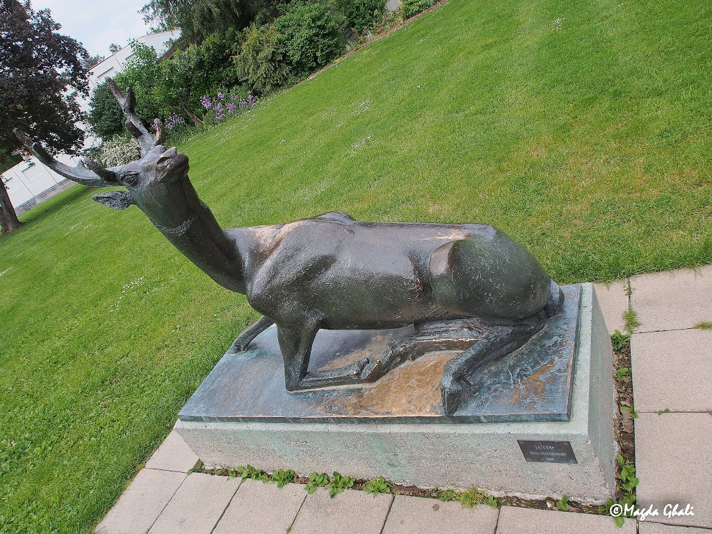 Le cerf par W. Vuilleumier by Magda GHALI