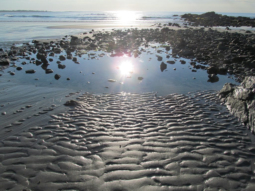 Fortunes Rocks Beach by Teresa Chrzanowski F…