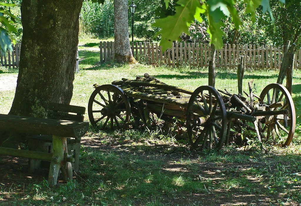 Untermerzbach-Gereuth Fuhrpark im Schlosspark by Contessa