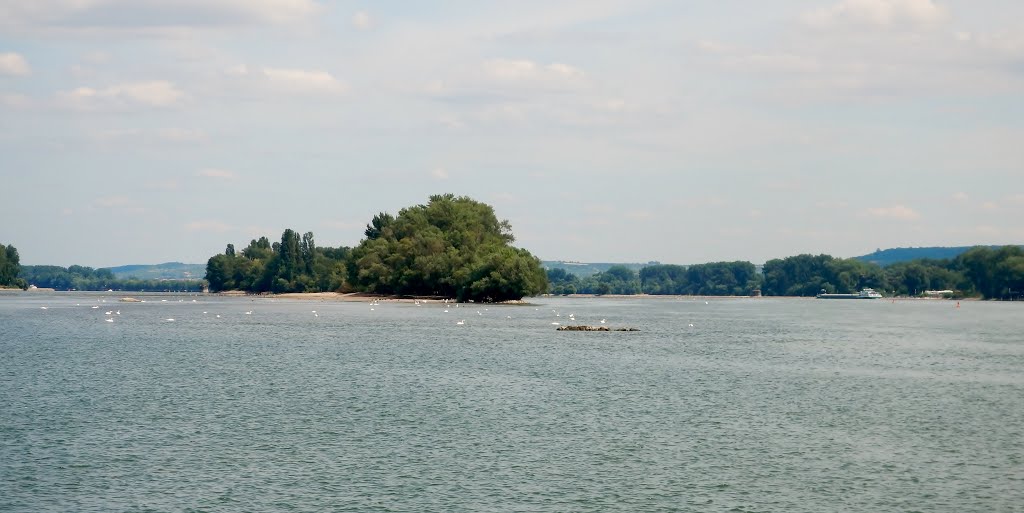 Der Rhein bei Rüdesheim by qwesy qwesy