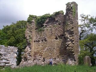 Timahoe Castle ruins, Co. Laois by A.F. Donovan