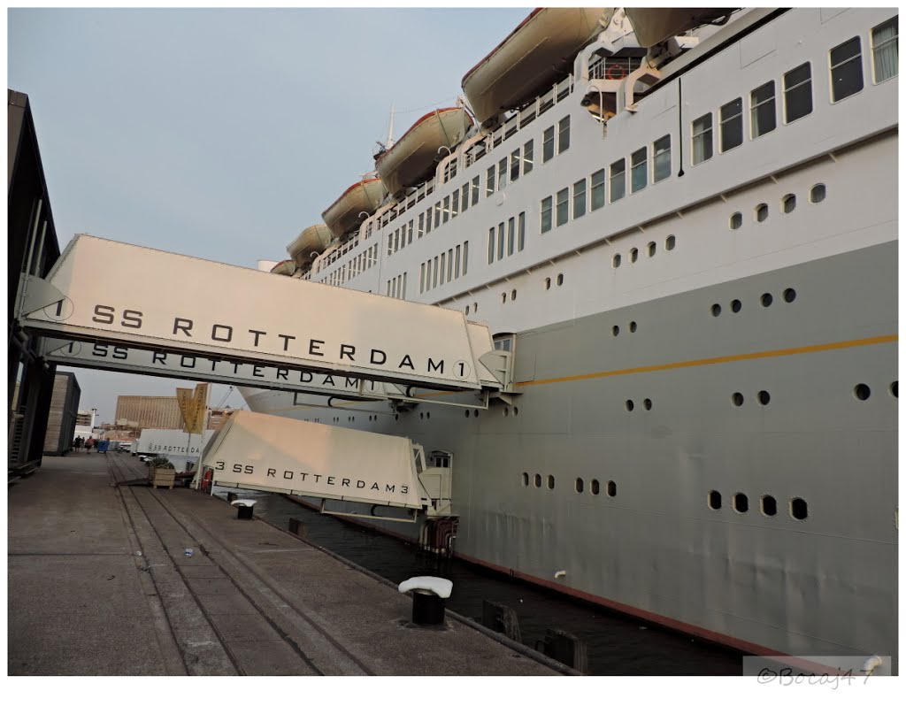 SS Rotterdam - Rotterdam - Zuid Holland - Nederland by Bocaj Nesnaj