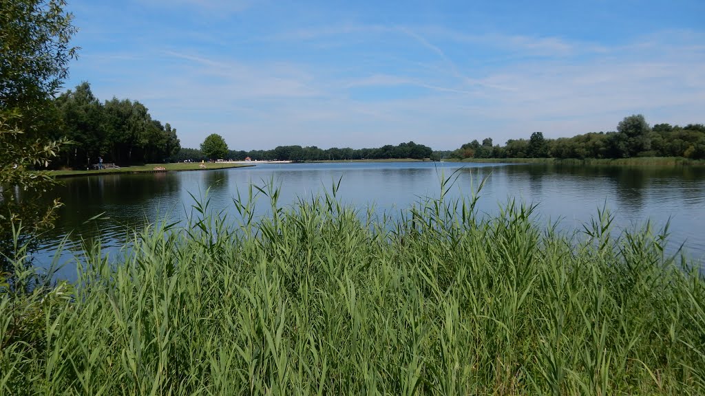 Broekheurne, Enschede, Netherlands by Rene Post