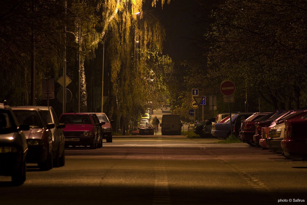 Street crossing, Kroměříž by Safirus