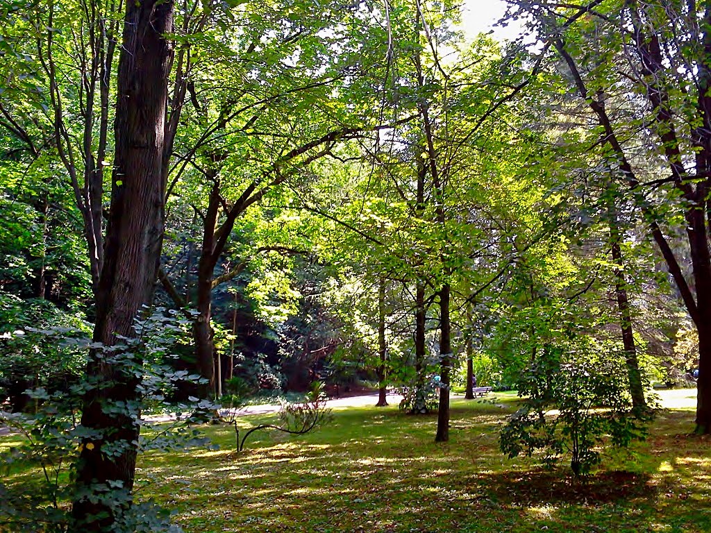 Gorlice - Municipal Park by wuhazet