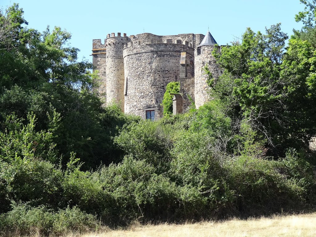 Château de CHAZERON à Loubeyrat, France by joel.herbez