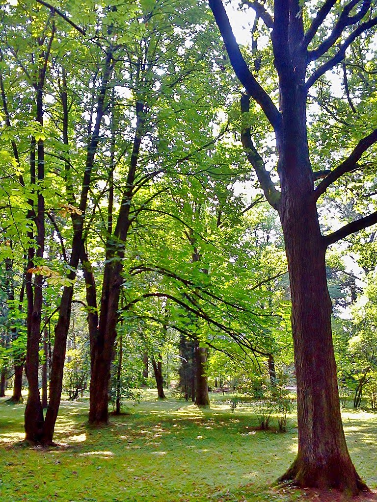 Gorlice - Municipal Park by wuhazet