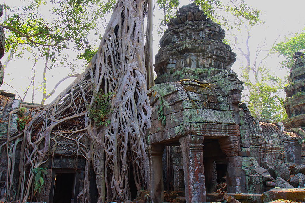 Sangkat Nokor Thum, Krong Siem Reap, Cambodia by Dần Lê