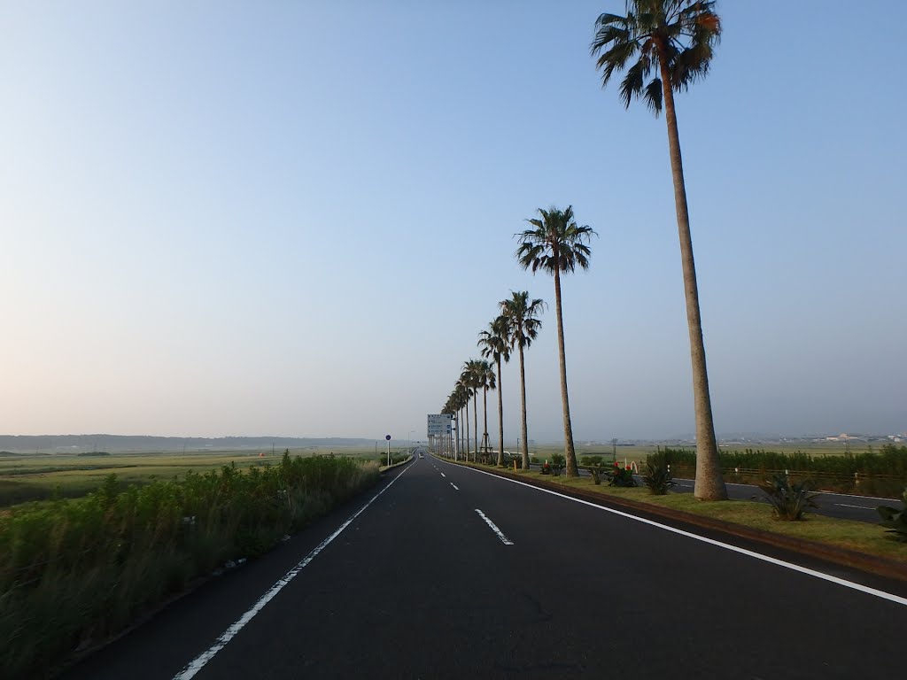 Gujibun, Miyazaki, Miyazaki Prefecture 880-0924, Japan by shinji noguchi