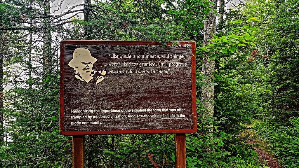 Aldo Leopold Memorial Trail by Aaron Carlson