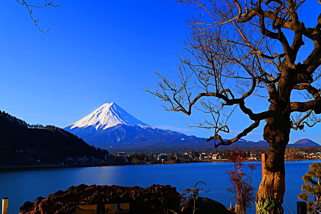 Azagawa, Fujikawaguchiko, Minamitsuru District, Yamanashi Prefecture 401-0303, Japan by Dần Lê