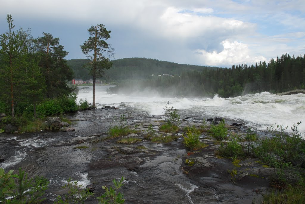 31.7.2015 Storforsen; Sweden by Aarne Hagman