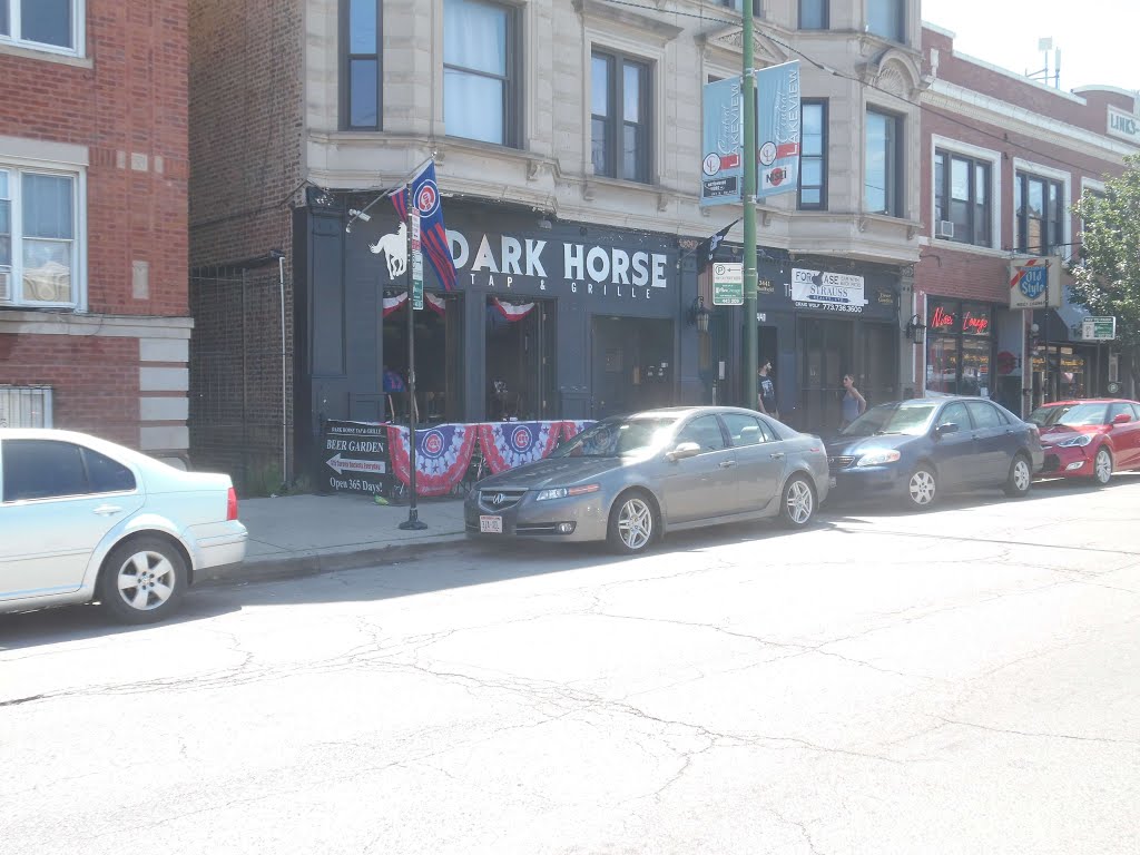 Dark Horse Bar & Grill by Wayne Allen Sallee