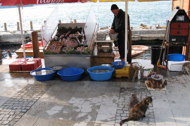 Beylerbeyi fish market by GuD