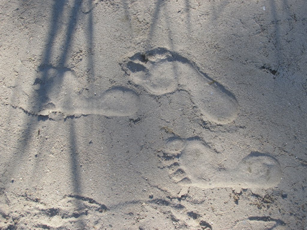 Sandstrand am Baggersee by Baden de