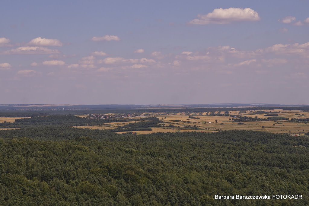 Włodowice 2015 by Baarbara Barbara