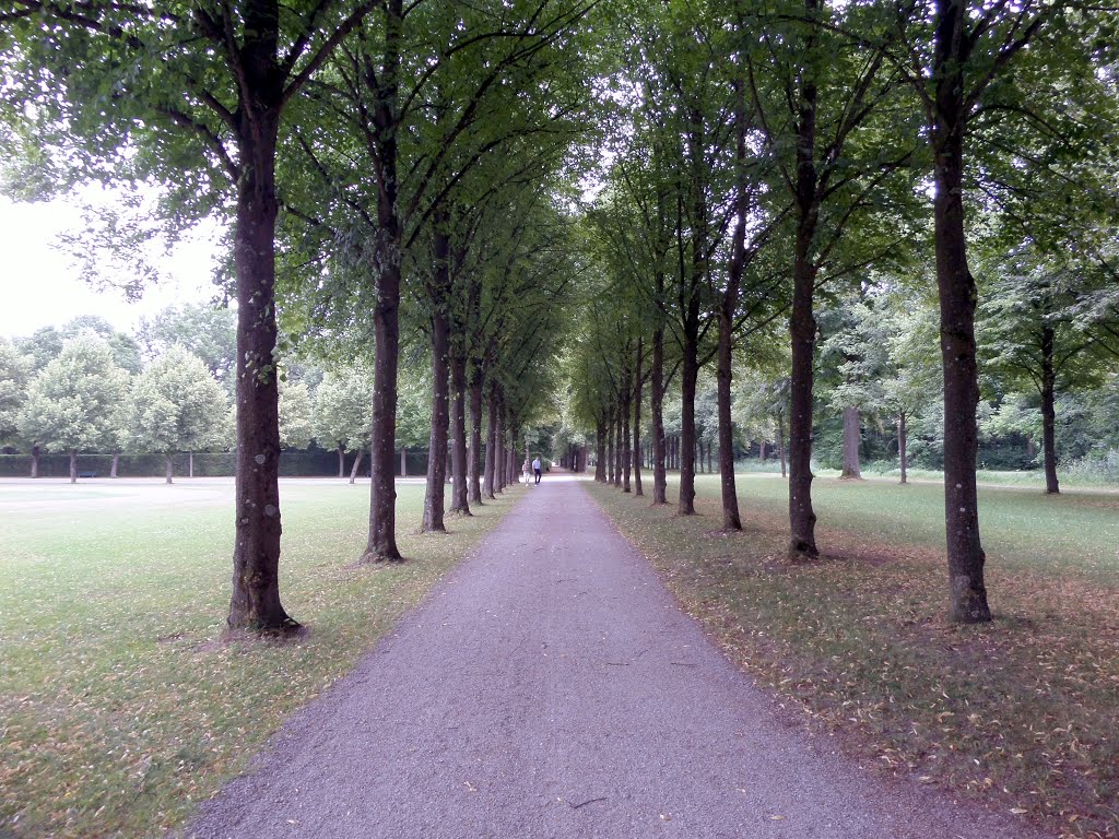 01.08.2015. _ Schleißheim, Oberschleißheim, Deutschland by Sandor Bordas