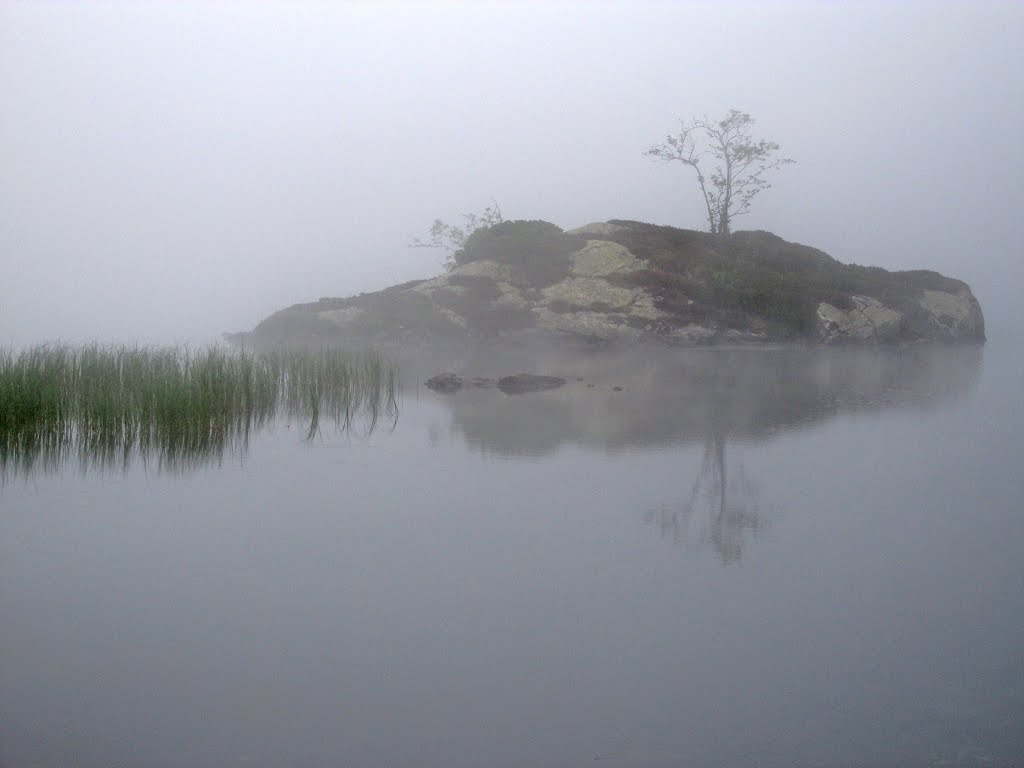 Etang d'Arbu by didiou09