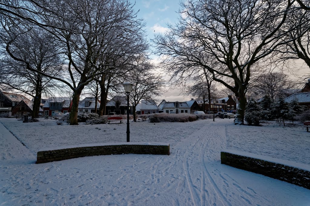 Texel - Den Burg - Burgwal - Park - 4 February 2015 - View West by txllxt TxllxT