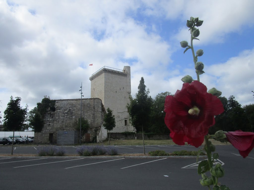 33340 Lesparre-Médoc, France by CHARBELA c