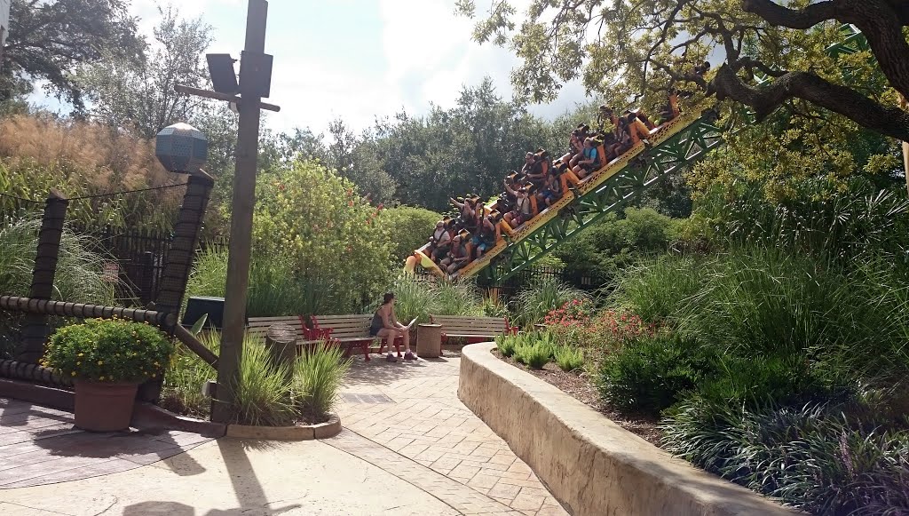 Busch Gardens: Cheetah Hunt in Tampa, Florida USA by Jannie Katzenberger