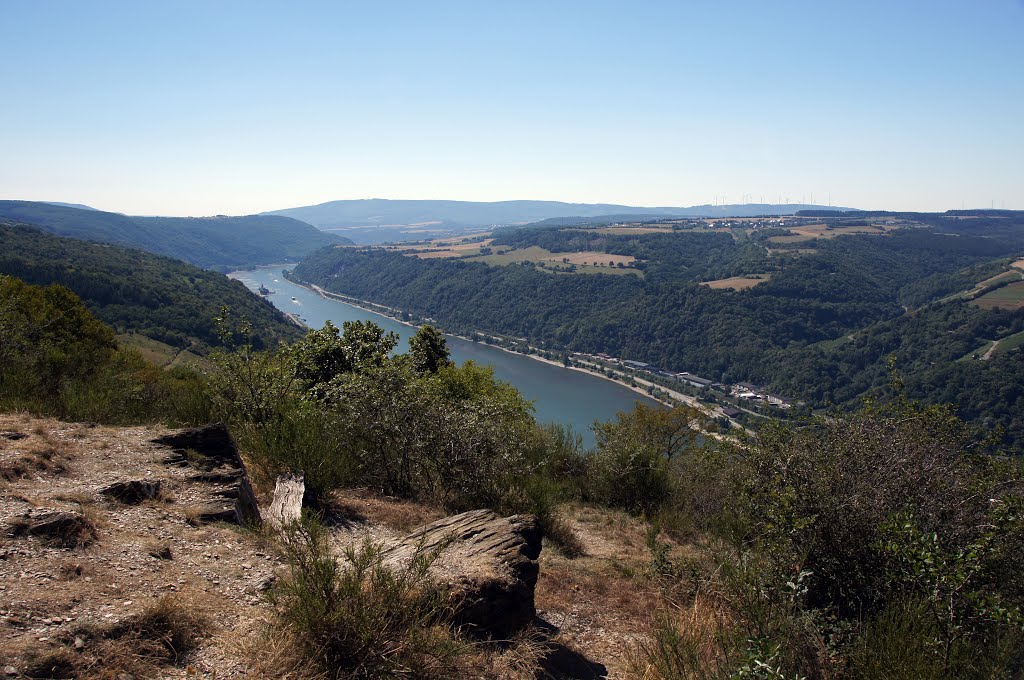 Rheinblick an der Schutzhütte by Jürgen Düring