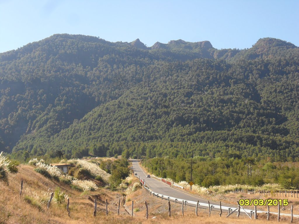 Vista de la ruta 181 desde antigua línea férrea. by fotomau84