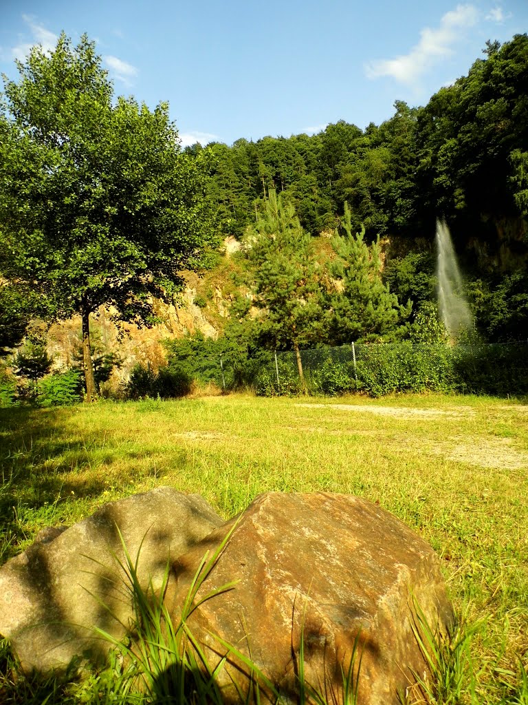 Sinzheim am Bergsee by Baden de